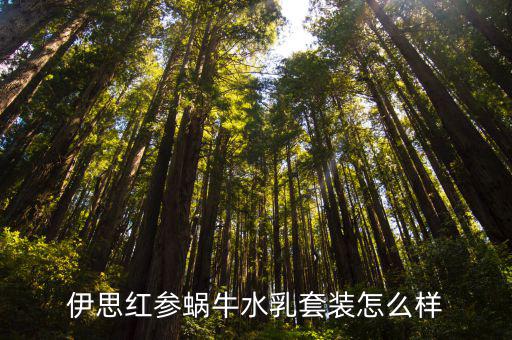 伊思红参蜗牛水乳套装怎么样