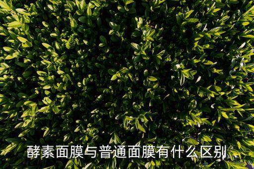 酵素面膜与普通面膜有什么区别