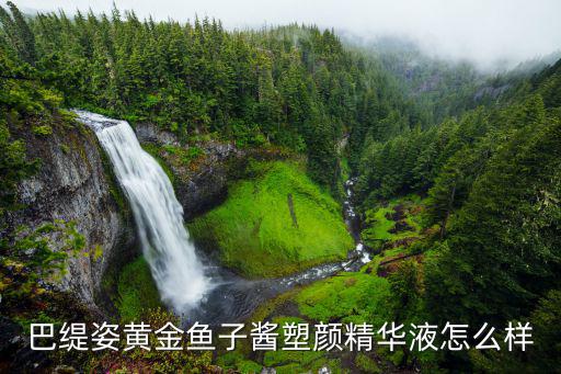 巴缇姿黄金鱼子酱塑颜精华液怎么样