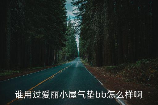 谁用过爱丽小屋气垫bb怎么样啊