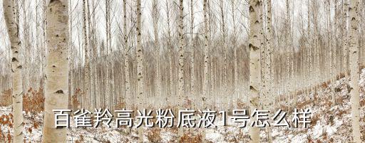 百雀羚高光粉底液1号怎么样