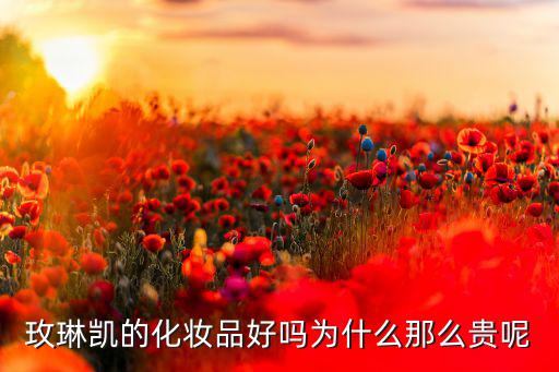 玫琳凯的化妆品好吗为什么那么贵呢