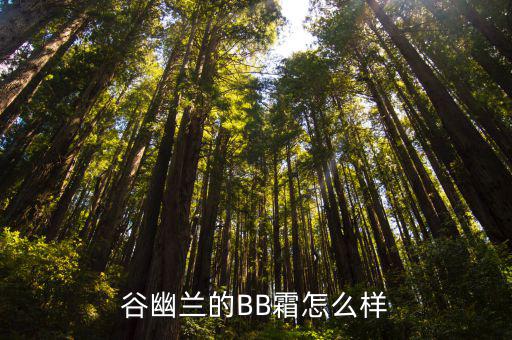 谷幽兰的BB霜怎么样