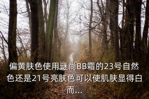 偏黄肤色使用谜尚BB霜的23号自然色还是21号亮肤色可以使肌肤显得白而...