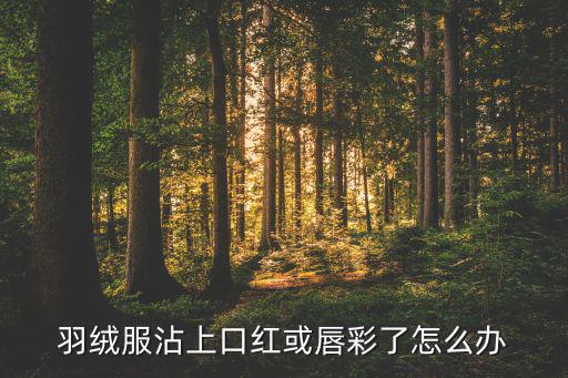 羽绒服沾上口红或唇彩了怎么办