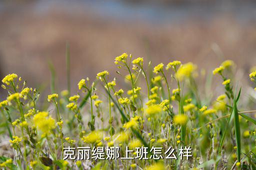 克丽缇娜上班怎么样