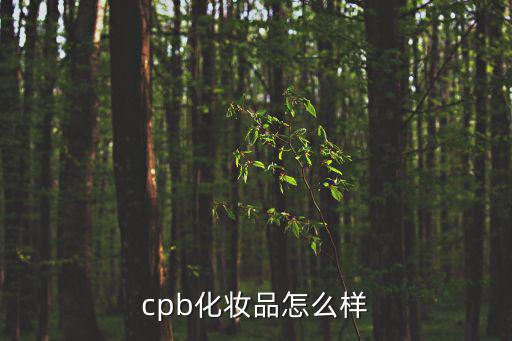 cpb化妆品怎么样