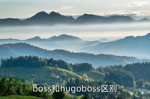 boss和hugoboss区别