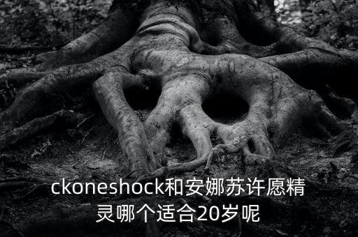 ckoneshock和安娜苏许愿精灵哪个适合20岁呢