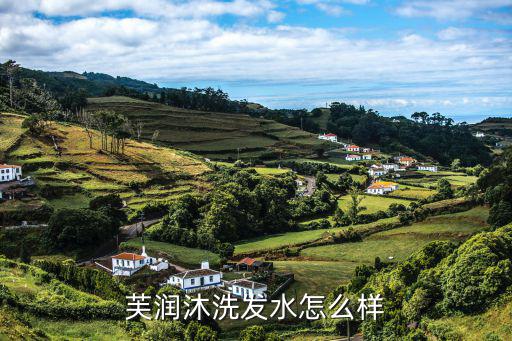 润护洗发水怎么样,芙润沐洗发水怎么样,比较适合外出旅行的人