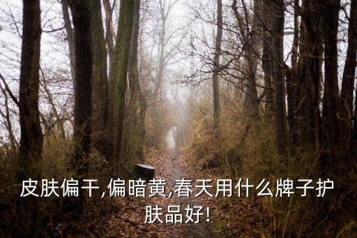 皮肤偏干,偏暗黄,春天用什么牌子护肤品好!