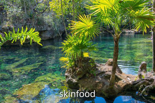 skinfood