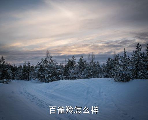 百雀羚怎么样