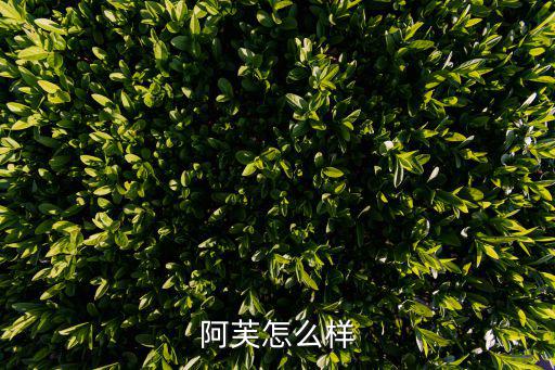 阿芙怎么样