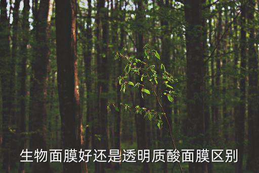 生物面膜好还是透明质酸面膜区别