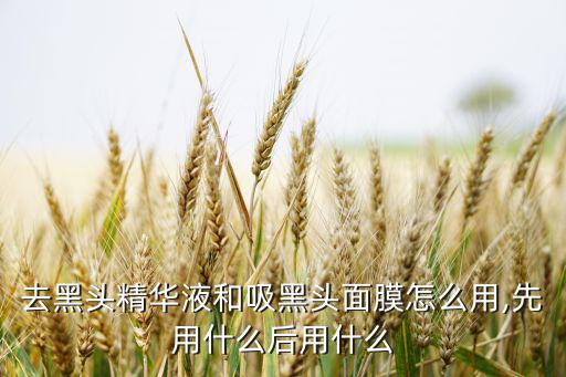 去黑头精华液和吸黑头面膜怎么用,先用什么后用什么