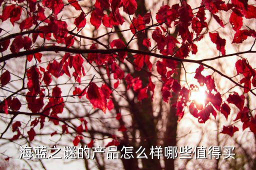 海蓝之谜的产品怎么样哪些值得买
