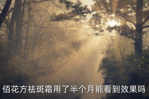 佰花方祛斑霜用了半个月能看到效果吗