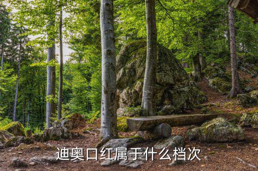 迪奥化妆品清爽系列怎么样,迪奥哪一款护肤品好用