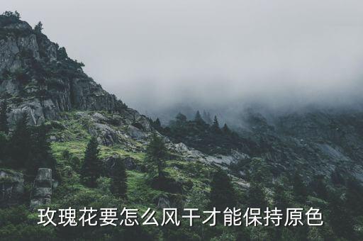 玫瑰花怎么粘亮粉,玫瑰粉怎么调出来