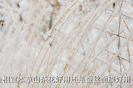 相宜本草面膜4倍蚕丝怎么样
