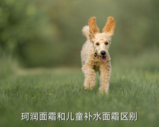 花王保湿面霜怎么样,花王护肤品怎么样