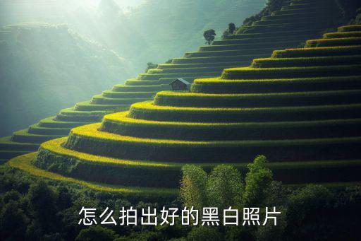 怎么拍出好的黑白照片