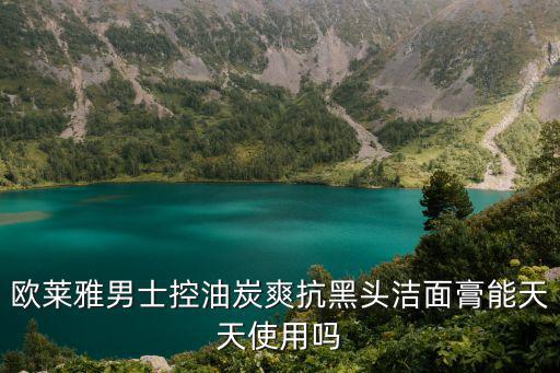 欧莱雅男士控油炭爽抗黑头洁面膏能天天使用吗