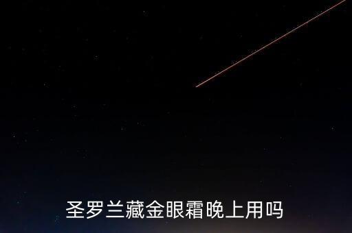 圣罗兰藏金眼霜晚上用吗