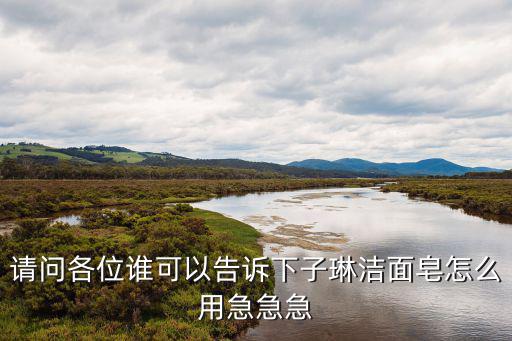 请问各位谁可以告诉下子琳洁面皂怎么用急急急