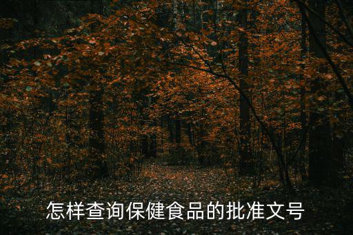 怎样查询保健食品的批准文号