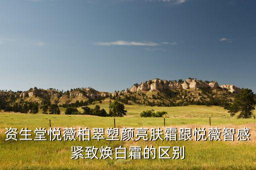 资生堂悦薇柏翠塑颜亮肤霜跟悦薇智感紧致焕白霜的区别