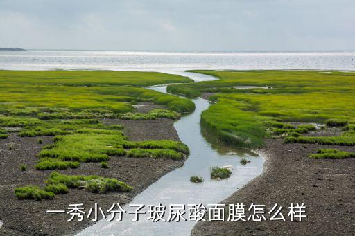 黑珍秀化妆品怎么样,一个方一个令读什么