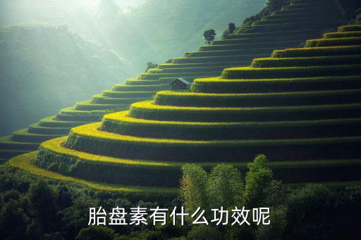 胎盘素有什么功效呢
