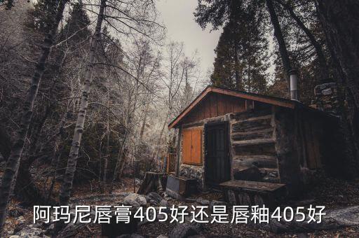 阿玛尼唇膏405好还是唇釉405好