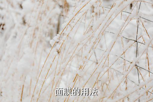 艾菲公主面膜怎么样,艾小菲美白面膜