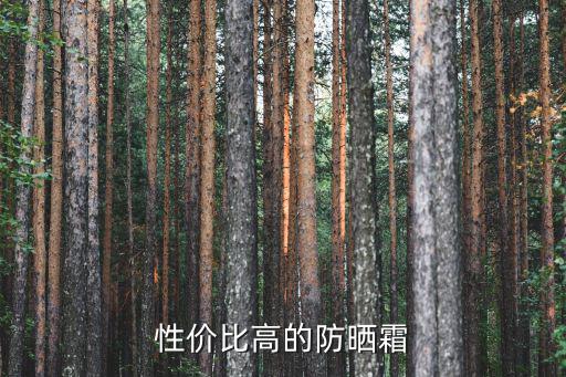 性价比高的防晒霜