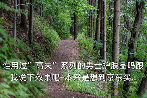 谁用过”高夫”系列的男士护肤品吗跟我说下效果吧~本来是想到京东买...