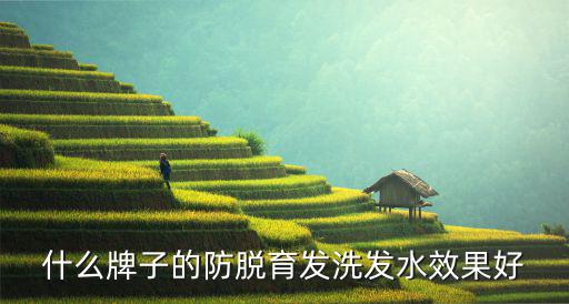 什么牌子的防脱育发洗发水效果好