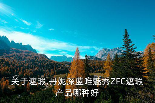 关于遮瑕,丹妮深蓝唯魅秀ZFC遮瑕产品哪种好