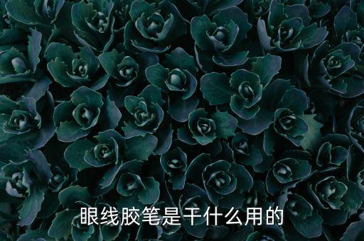 nars眼线胶笔怎么样,手绘眉毛笔和眼线胶笔哪个好用?