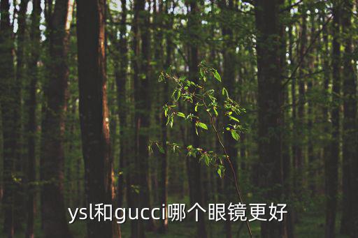 ysl和gucci哪个眼镜更好