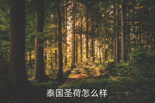 泰国圣荷怎么样