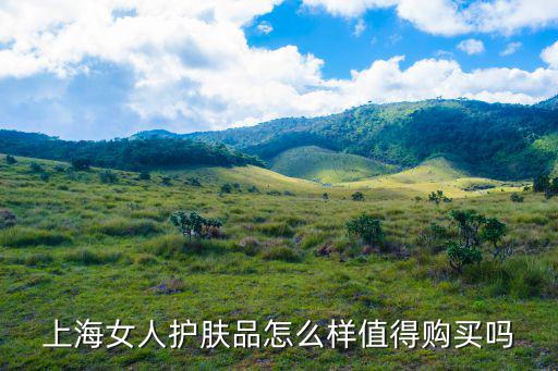 上海卖化妆品怎么样,在上海买化妆品