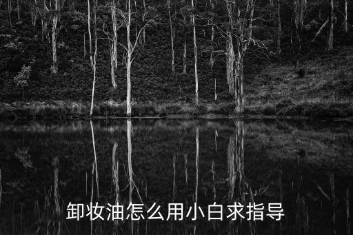 卸妆油怎么用小白求指导