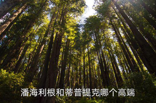 潘海利根和蒂普提克哪个高端