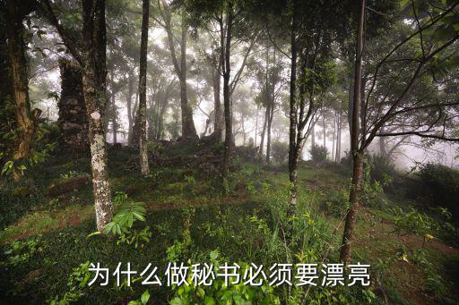 为什么做秘书必须要漂亮