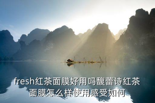 fresh果蜜面膜怎么样