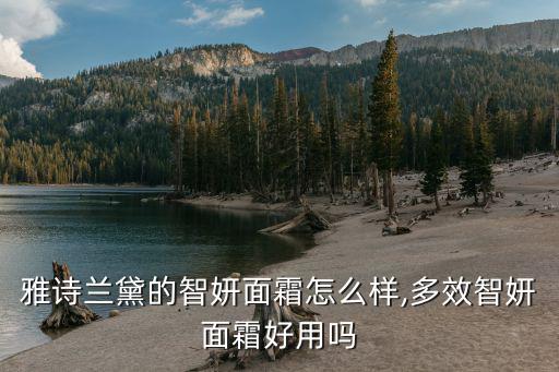 雅诗兰黛霜怎么样啊,雅诗兰黛多效智妍面霜好用吗?