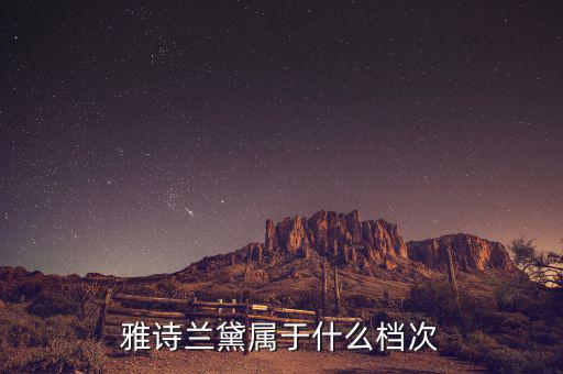 雅诗兰黛属于什么档次
